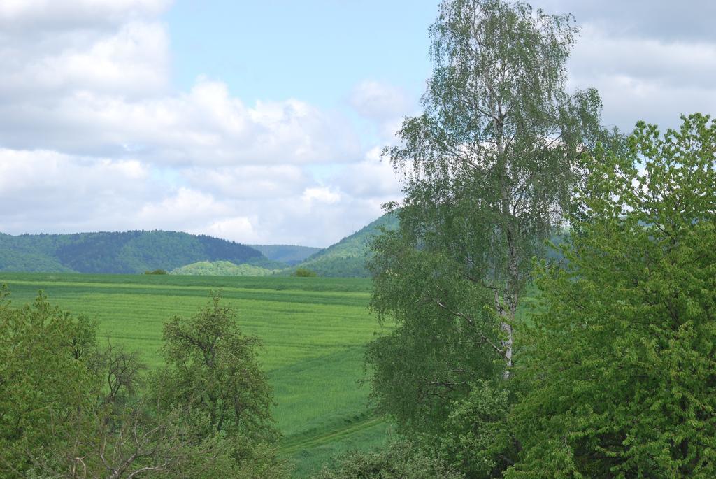 Stricker Harz Holiday home Walkenried